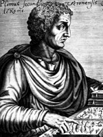 Плиний (старший) - его биография и жизнеописание
